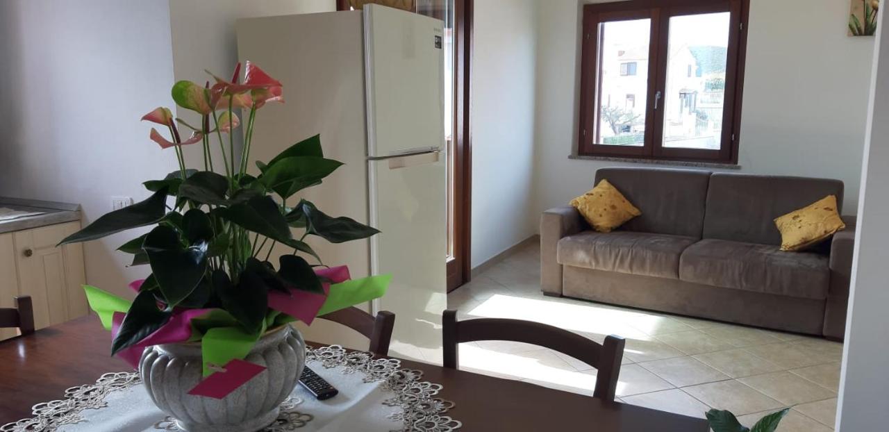 Rosa Сasa de vacaciones